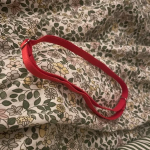 Rött benspänne - Säljer ett snyggt rött benspänne som är perfekt för att piffa upp vilken outfit som helst. Det är smalt och har en enkel design med en metallspänne. Passar bra till både vardag och fest!