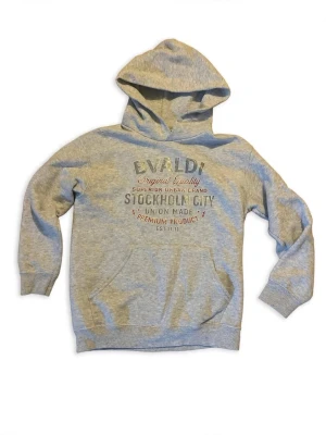 BVALDI Hoodie Grå - Stockholm City - BVALDI Stockholm Hoodie – Skön och snygg vardagshoodie Grå hoodie från BVALDI med coolt vintage-tryck "STOCKHOLM CITY". Mjuk insida, kangaroo-ficka och huva. Perfekt för skola, chill eller lager-på-lager. Mycket bra skick, mjuk och go. Säljer då den är urvuxen. 