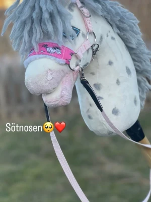 Käpphäst + grimma tyglar och lyck ängel  - Säljer min käpphäst med mulle grimma tyglar och lyckoängel till .  Käpp igår ej. 