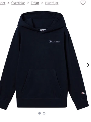 Mörkblå hoodie från Champion - Säljer min hoodie som jag köpte för 700 och har bara testat och aldrig använt endast 300. Inga skador eller något på det, skriv gärna om ni undrar något ☺️