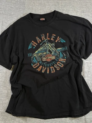 🔥 Harley-Davidson Dealer Tee XXL Appaloosa Wrocław Poland Graphic - Harley-Davidson graphic tee with classic motorcycle engine front print and strong dealer back hit from Appaloosa Harley-Davidson Wrocław, Poland. Iconic bar & shield logo and bold biker graphics. Great oversized vintage-style tee for denim, boots, or streetwear fits.  Tag missing — fits like XXL / oversized fit based on measurements.  Measurements (laid flat): S2S: 60 cm P2P: 64 cm Waist: 64 cm Length: 76 cm  Good used condition with normal wear.