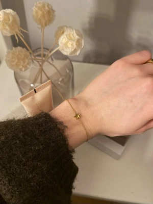 Star armband i guld - Edblad  - Säljer ett sött armband från Edblad som är guld med en liten söt stjärna på. Perfekt som present eller som ett nytt tillskott i smyckesskrinet🌸 hör gärna av dig vid frågor💗