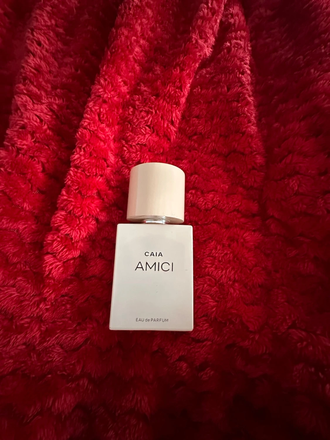 Caia Amici