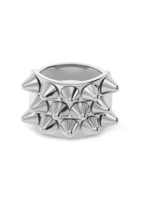 Silvrig Edblad ring  - Snygg Edblad ring med nitar🤍