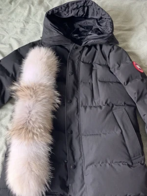Canada Goose Carson - Säljer en svart Canada Goose med avtagbar päls i storlek S. Jackan har flera praktiska fickor, Perfekt för fashion samt kalla vinterdagar. Finns i Stockholm går lika bra med frakt.