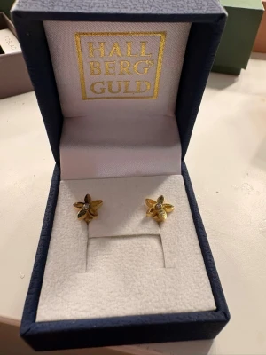 Guldfärgade blomörhängen med pärlor  - Säljer ett par söta örhängen från Hallbergs Guld i form av blommor. De är guldfärgade och har en liten pärla i mitten av varje blomma. Perfekta för dig som gillar klassiska och eleganta accessoarer. Äkta guld