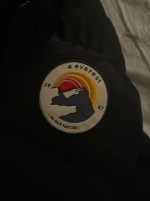 Svart dunjacka från Everest - Säljer en svart dunjacka från Everest med ett snyggt broderat märke på ärmen som visar berg och solnedgång. Jackan har huva och är perfekt för kalla vinterdagar. Klassisk puffer-modell som håller dig varm och stilren. Den Är helt ny köpte för 3 månader sen men den är förstor och han ej o lämta tillbaka använd 1-2 gånger den är helt ny köpte för 2000kr Den är i sprillans ny skick