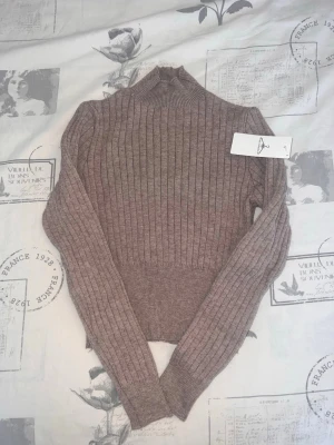 Brun ribbstickad polotröja - Säljer en brun ribbstickad  med lång ärm och hög hals. Tröjan har en tight passform och är tillverkad i ett mjukt, stretchigt material som känns skönt mot huden. Perfekt att styla med jeans eller kjol för en trendig look.