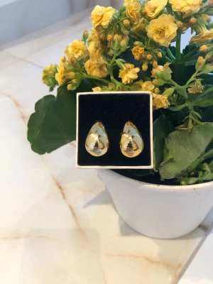 Guldiga droppformade örhängen - Snygga örhängen i droppformad design med blank, guldig yta. De är stilrena och passar perfekt för dig som gillar minimalistiska accessoarer med lite extra glans. Materialet ser ut att vara metall med en polerad finish. Levereras i en svart ask.