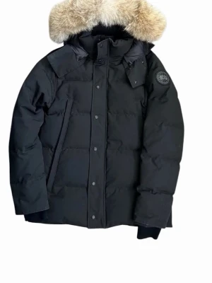 Svart dunjacka från Canada Goose - Säljer en svart dunjacka från Canada Goose med stor pälskantad huva och klassisk logotyp på ärmen. Jackan har dragkedja och knappar framtill samt flera praktiska fickor. Perfekt för kalla vinterdagar och riktigt varm.