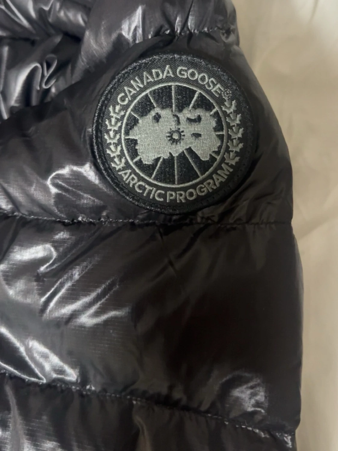 Canda goose crofton  - 1