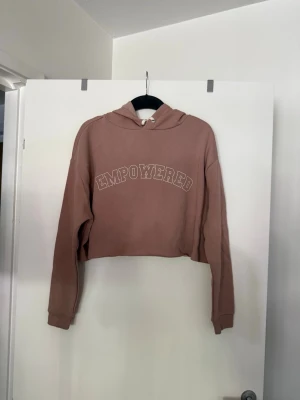Sweatshirt brun  - Storlek L, aldrig använd. Köpt i butik så kan finnas skavanker. 