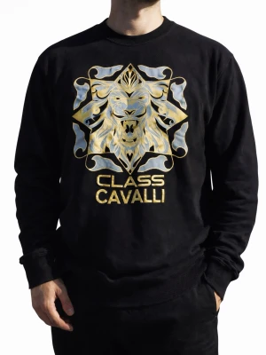 Roberto cavalli tröja - Svart Cavalli Class tröja för män till salu. Nyskick, använd fåtal gånger, Storlek L. Hör av dig vid intresse/frågor. PRIS KAN DISKUTERAS!