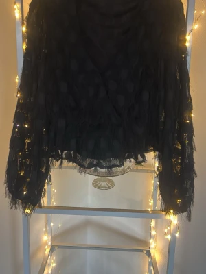 Svart fransig topp från Gina Tricot - Säljer en svart topp från Gina Tricot med fransar över hela plagget. Toppen har lång ärm och är tillverkad i ett tunt, genomskinligt material som ger en cool och trendig look. Perfekt för dig som vill sticka ut lite extra.