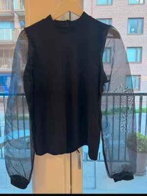 Svart topp med transparenta ärmar - Snygg svart topp med höghalsad krage och långa, transparenta meshärmar som ger en cool kontrast till den täckta kroppen. 