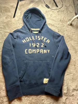 Unik Hollister hoddie vintage  - Väldigt fint skick och en väldigt unik hoddie. Tveka inte på att ställa frågor. 