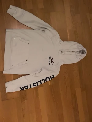 Hollister hoodie - 90tals hollister hoodie. Några små fleckar samt ett litet hål på bröstet