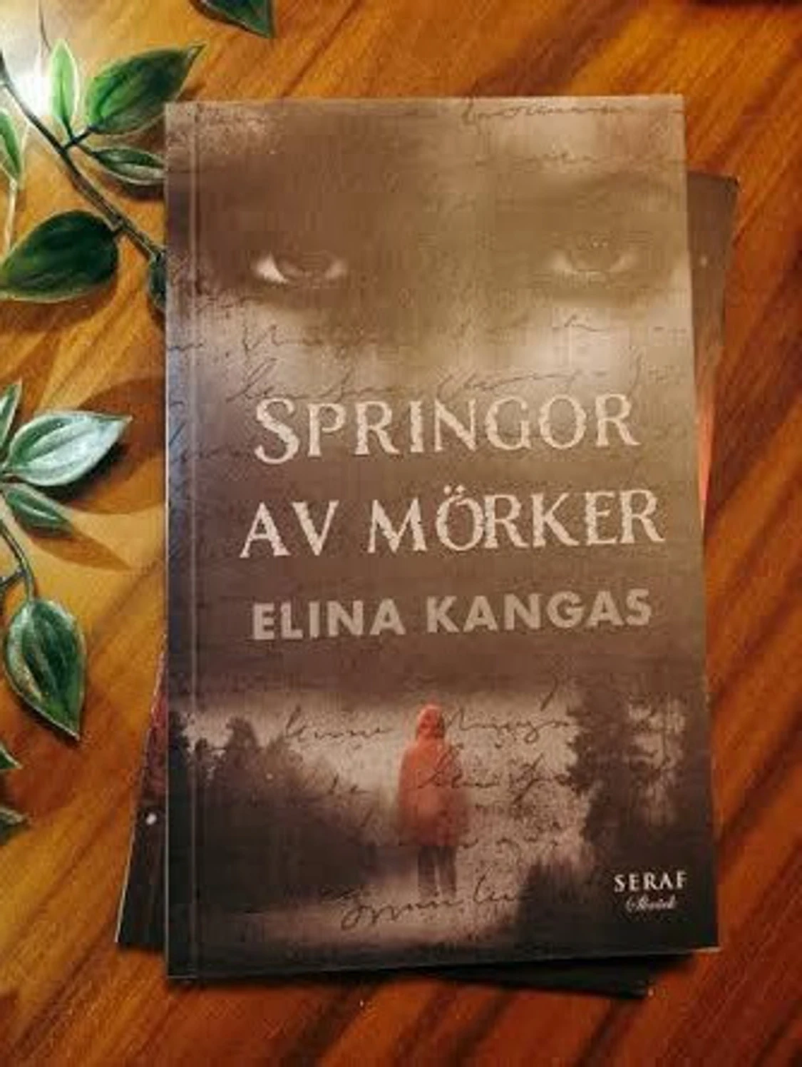 Springor av mörker av Elina Kangas
