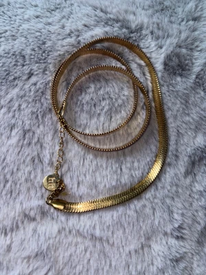 Guldigt halsband från Hey Harper - Snyggt guldigt halsband från Hey Harper med platt, ormliknande kedja och justerbar längd. Halsbandet har en liten rund bricka med märkets logga vid låset. Perfekt accessoar för att lyfta din outfit. Längd 55 cm. Förgyllt rostfritt stål.