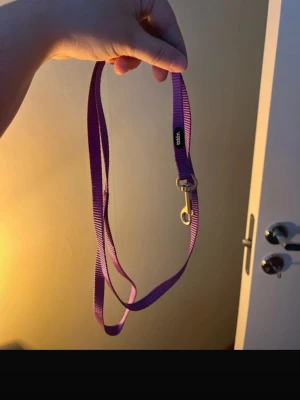 Kort valpkoppel lila  - Säljer nu min valps valpkoppel då vi köpt längre koppel. Ett ganska kort koppel, skulle säga att det är ungefär lika långt som ett koppel till kattsele. Knappt använt.