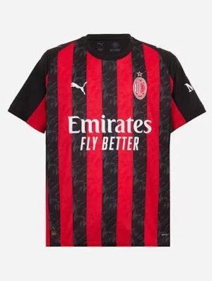 AC Milan randig matchtröja Puma. Modric 14#. Passar M också  - Säljer en AC Milan matchtröja från Puma med klassiska röda och svarta vertikala ränder. T-shirten har korta ärmar, klubbmärke på bröstet och sponsortryck framtill. Tillverkad i ett lätt och funktionellt syntetmaterial som passar perfekt för fotboll.