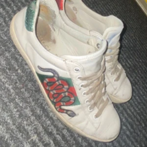 Vita sneakers med orm och färgdetaljer - Säljer ett par vita gucci ace broderad orm på sidan och klassiska gröna och röda detaljer baktill. Skorna har snörning och platt sula, samt rund tå. Perfekta för sommarn. Ny pris 9000