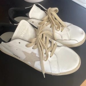 Golden Goose  DB - Golden Goose. Grisch skor. Väldigt fint skick på dom. Säljer dom för dom känns små på mig. De finns inget kvitto eller box kvar. Kan därför diskutera pris! 😊 