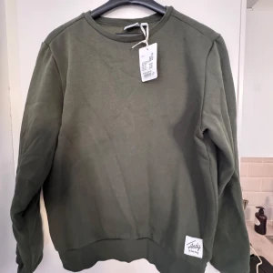 Mörkgrön tröja från Andy by Frank Dandy - Säljer en stilren mörkgrön tröja från Andy by Frank Dandy. Tröjan har en rund halsringning och en diskret logga på framsidan. Perfekt för en avslappnad look.