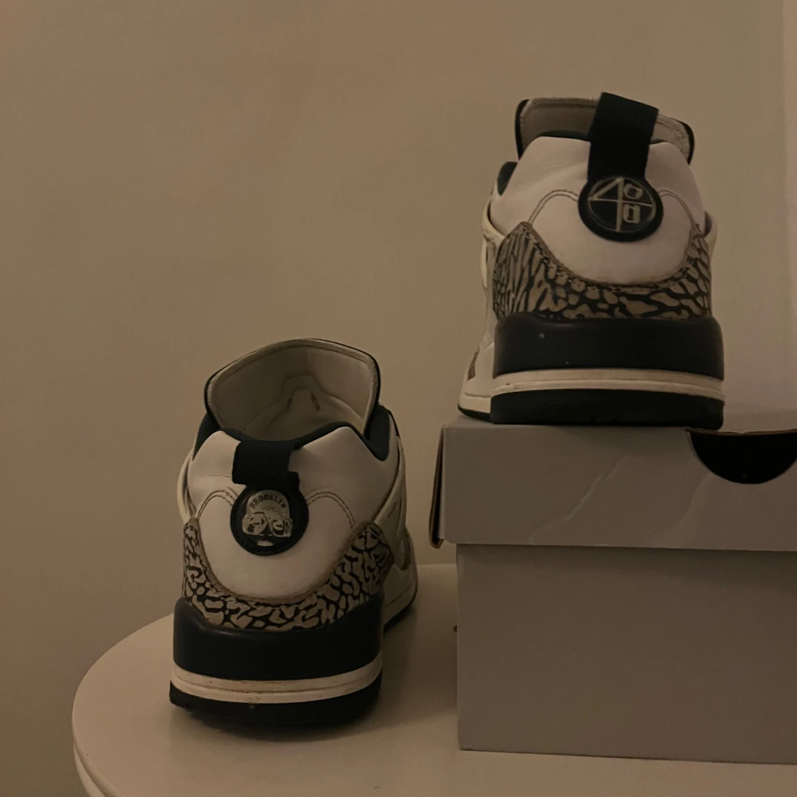 Nike Air Jordan 3 (spizike edition) - 2