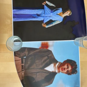 Posters - Går att köpa styck och par 