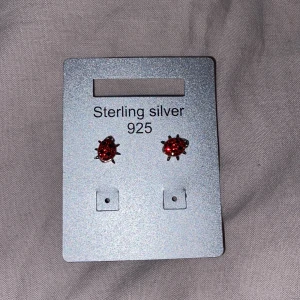 Söta nyckelpigeörhängen i silver - Ett par små örhängen i form av röda nyckelpigor med svarta prickar, tillverkade i äkta sterling silver 925. Perfekta för dig som vill ha något gulligt och lekfullt i öronen. Säljs på originalkort från Guldfynd.