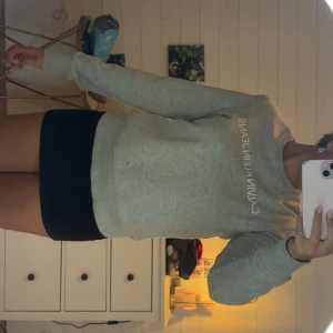 Grå sweatshirt från Calvin Klein Jeans - Snygg ljusgrå sweatshirt från Calvin Klein Jeans med logga tryckt i vitt på bröstet. Köpt för 700kr på Calvin kleins hemsida. Aldrig använd!💞