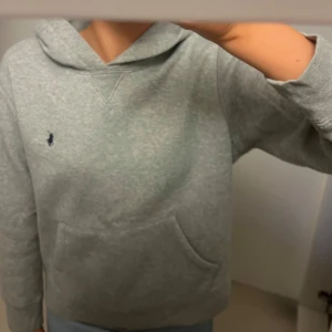 Grå hoodie från Polo Ralph Lauren - Säljer en klassisk grå hoodie från Polo Ralph Lauren. Nypris 1500🩶