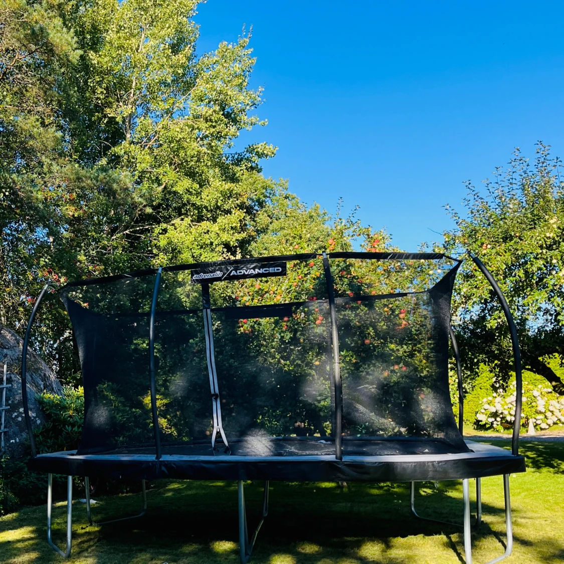 Studsmatta inklusive säkerhetsnät Adrenalin Advanced - 1