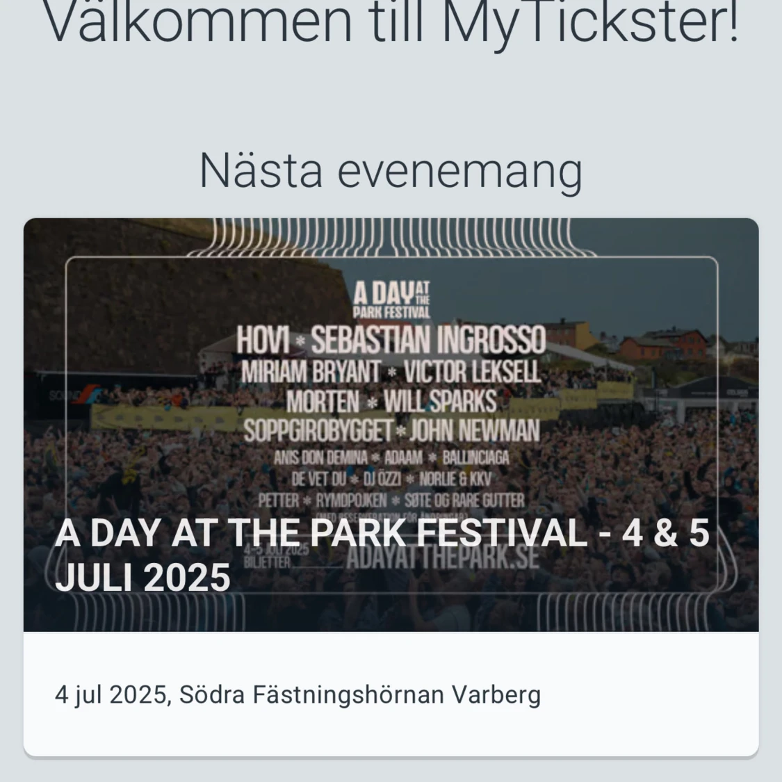 Säljer biljett till A Day at the Park - 1
