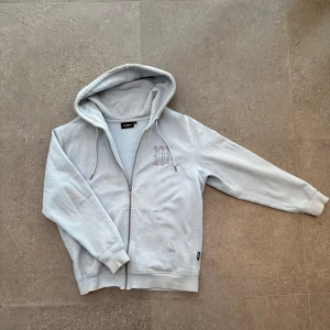 Himmelsblå/isblå hoodie med dragkedja från Wasted Paris - Säljer en ljusgrå hoodie med dragkedja från Wasted Paris. Den har en stor huva och tryck på både bröstet och ryggen. Perfekt för en avslappnad stil. 9/10 skick, knappt använd. Passar S och M i storlek 