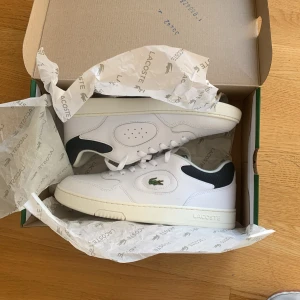 Vita sneakers från Lacoste med gröna detaljer - Snygga vita sneakers från Lacoste med gröna detaljer och klassisk krokodil-logga på sidan. Skorna har snörning, rund tå och är tillverkade i skinn. De är helt oanvända och perfekta för dig som gillar stilrena och sportiga skor. Pris på nätet 1200 kr.
