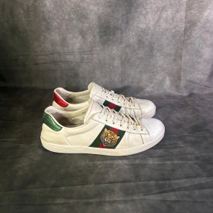 Gucci ace sneaker -  Bra skick | Size UK 10 passar 44 | fraktar spårbart inom 24 timmar |  för att köpa klicka ” köp nu” | vid frågor skriv ett meddelande |