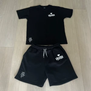 Valerra summer set - sommarset från Valerra, bestående av matchande T-shirt och shorts. Setet har en minimalistisk design med en broderad logga på bröstet och en större tryckt logga som ger en modern touch.  Materialet är av premiumkvalitet – huvudsakligen bomull – vilket gör det både bekvämt och perfekt för varma dagar. Det här setet är en del av en exklusiv drop och kommer med största sannolikhet inte att släppas igen i år.  Perfekt för dig som gillar stilrena, street-inspirerade plagg med hög kvalité!