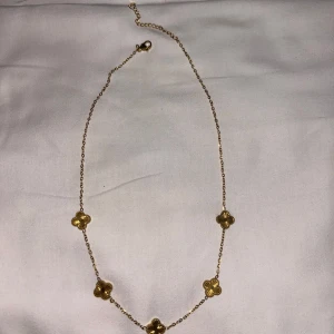 Guldigt halsband  - Helt nytt, stainless steal 