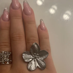 Silver ring blomma  - Rosfri ring