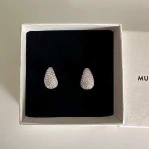 Muli örhängen  - Jättefina örhängen från muli collection, aldrig använda då jag bara använder guldfärgat 🤍🌟