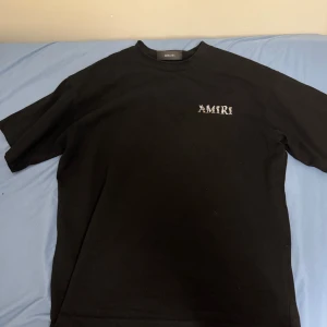 Amiri T-Shirt - I perfekt skick inga hål eller något sådant, storlek S