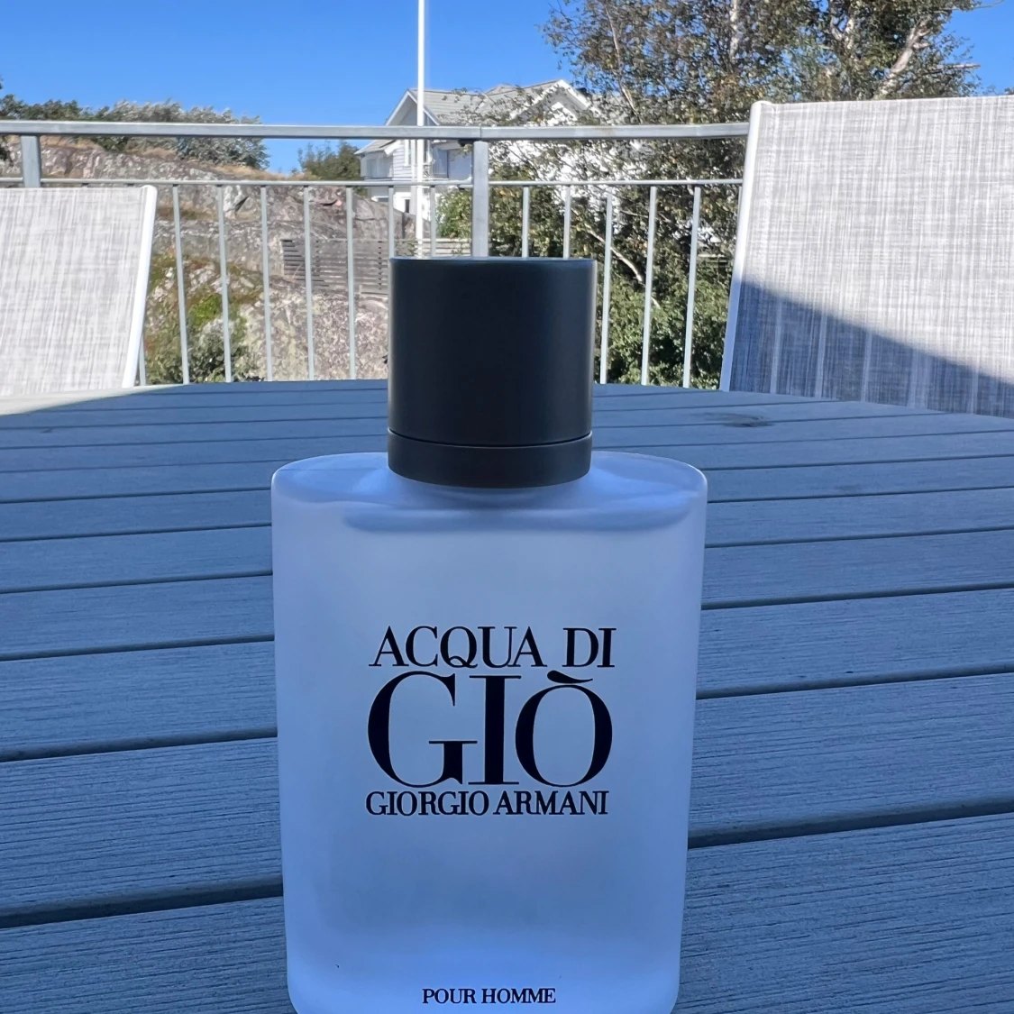 Acqua di Giò Giorgio Armani 100ml - 1