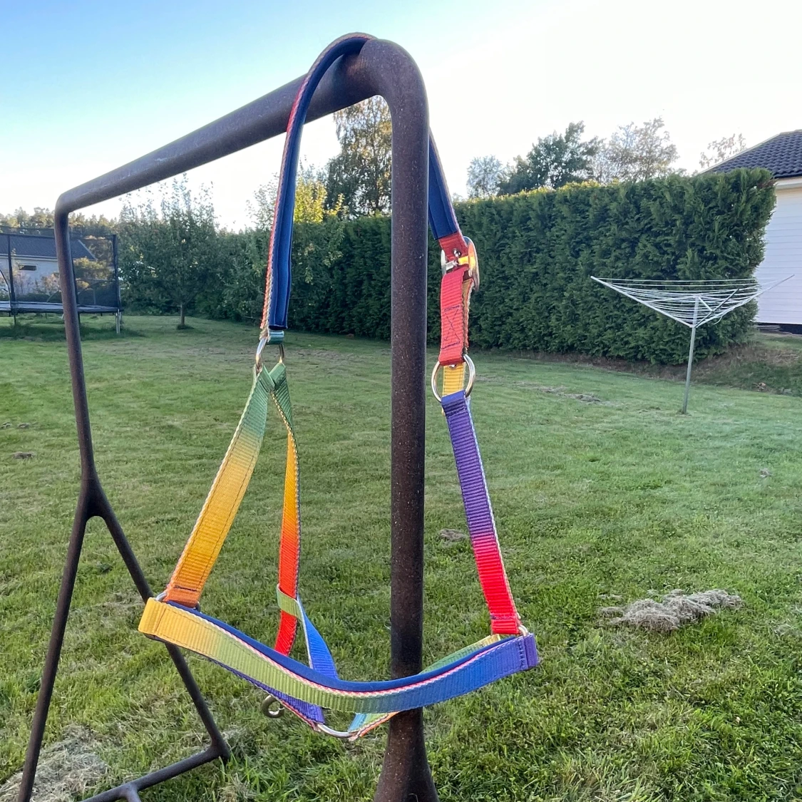 Regnbågsfärgat grimma i storlek Full