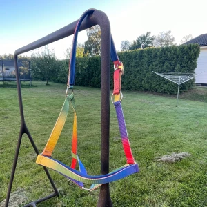 Regnbågsfärgat grimma i storlek Full - Säljer en färgglad grimma i regnbågens alla färger. Justerbar passform och passar häst i storlek Full.