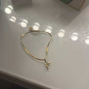 Guldarmband med delfinberlock - Snyggt och tunt armband i guld med en liten delfinberlock som hänger i mitten. Perfekt accessoar för dig som gillar havsinspirerade detaljer och vill ha något stilrent men ändå unikt.🥰