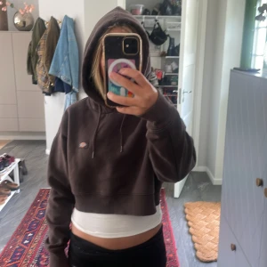 Brun croppad hoodie från Dickies - Säljer en brun hoodie från Dickies i storlek XS. Hoodien har huva med snörning och en liten logga på vänster sida. Materialet är mjukt. Jag köpa denna tröja för 700kr.