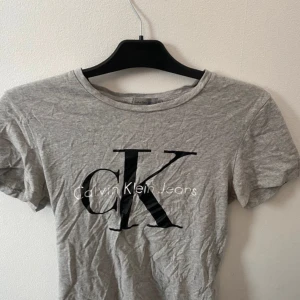 Grå t-shirt från Calvin Klein Jeans - Snygg grå t-shirt från Calvin Klein Jeans med stor svart CK-logga och vit text framtill. Klassisk rund halsringning och korta ärmar. Tillverkad i mjuk bomull för en skön känsla.Frakt tillkommer