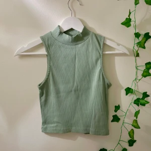 Grön topp - Snygg ljusgrön ribbad topp, 95% bomull 5% elastan! Kolla gärna in mina andra annonser, försöker bli av med allt så snart som möjligt 💝pris alltid förhandlingsbart, brukar gå med på de flesta prisförslag!😚